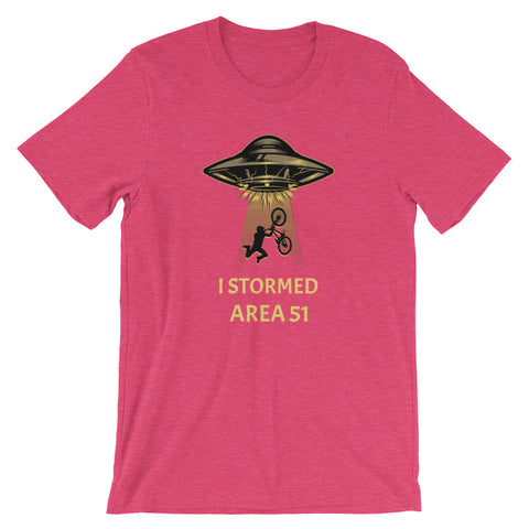 I Stormed Area 51 Tee